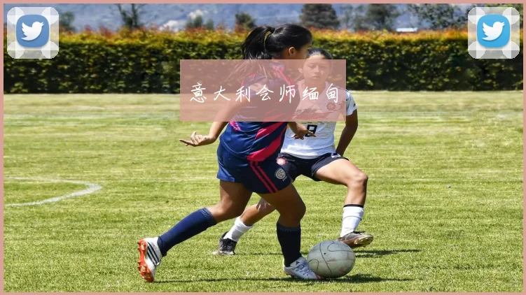 意大利会师缅甸