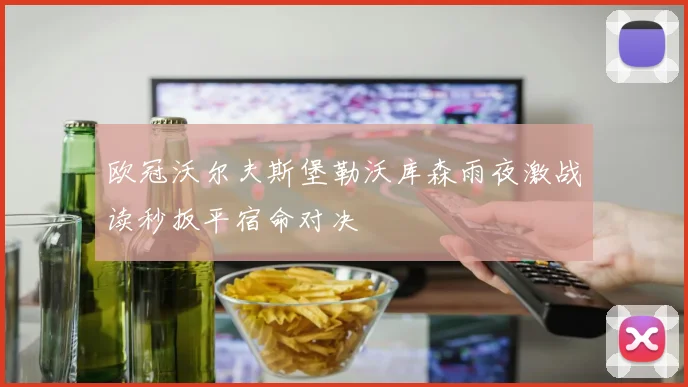 欧冠沃尔夫斯堡勒沃库森雨夜激战读秒扳平宿命对决