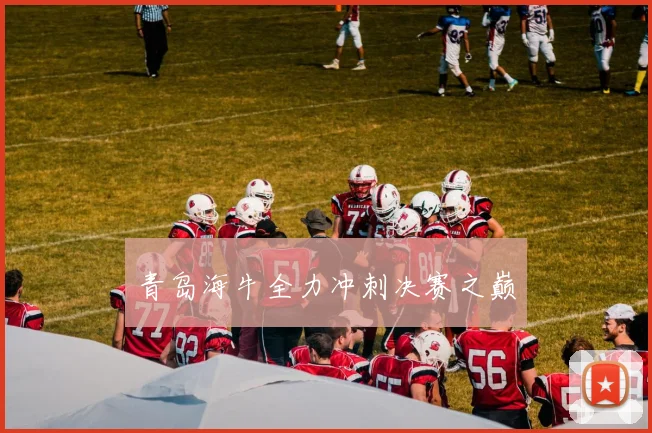 青岛海牛全力冲刺决赛之巅