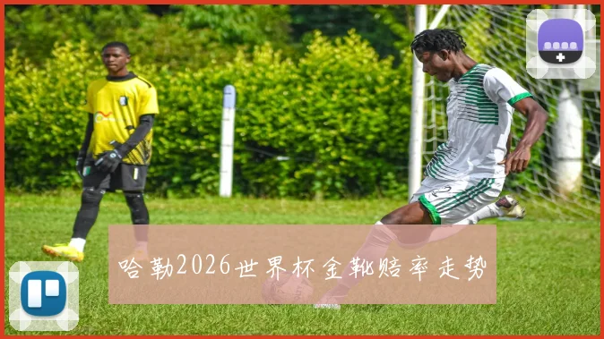哈勒2026世界杯金靴赔率走势