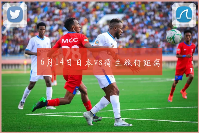6月14日日本vs荷兰旅行距离