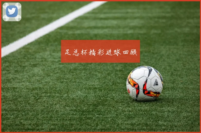 足总杯精彩进球回顾