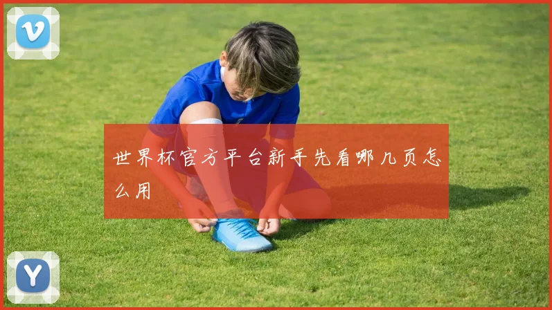 世界杯官方平台新手先看哪几页怎么用