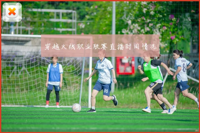 穿越火线职业联赛直播时间情况